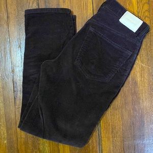 Everlane baby cord cheeky regular